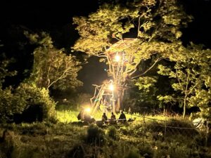 夜のツリーハウス