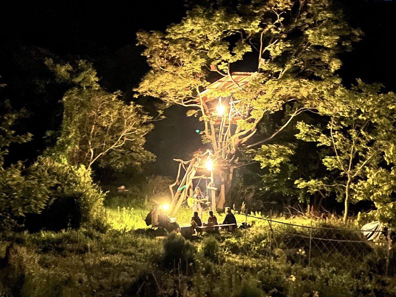夜のツリーハウス